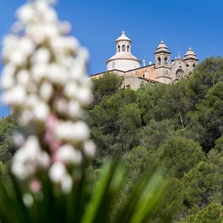 Holiday home Charming House In With Garden And Shared Pool Petra (Mallorca)